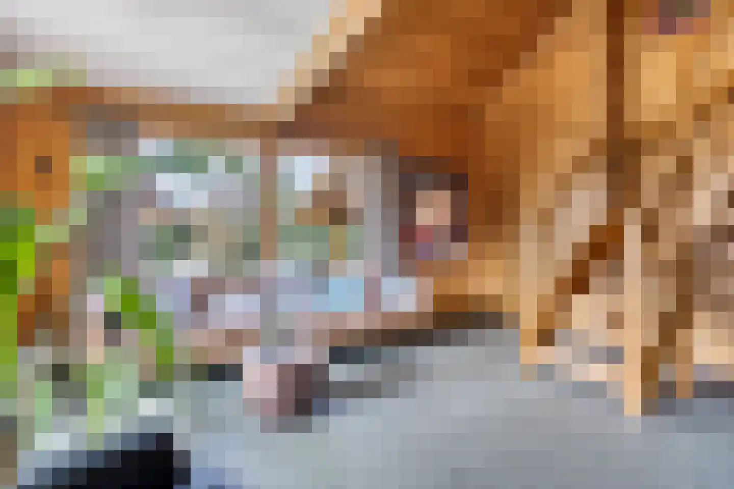 Nieuw Beusinkweg 20 33 Winterswijk thumbnail 24