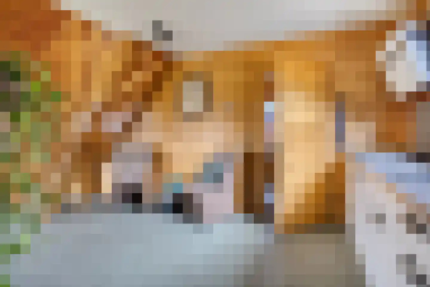 Nieuw Beusinkweg 20 33 Winterswijk thumbnail 26