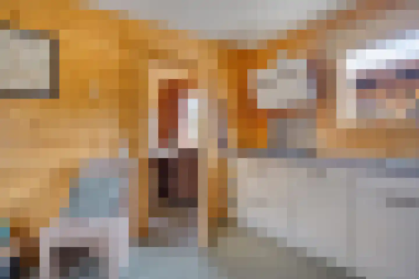Nieuw Beusinkweg 20 33 Winterswijk thumbnail 27