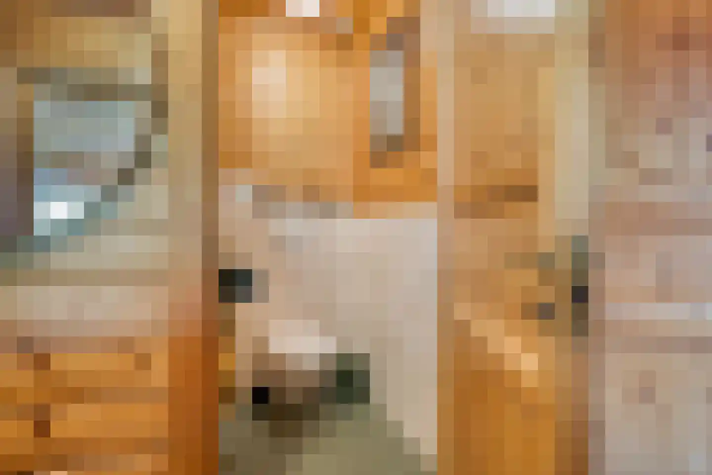 Nieuw Beusinkweg 20 33 Winterswijk thumbnail 33