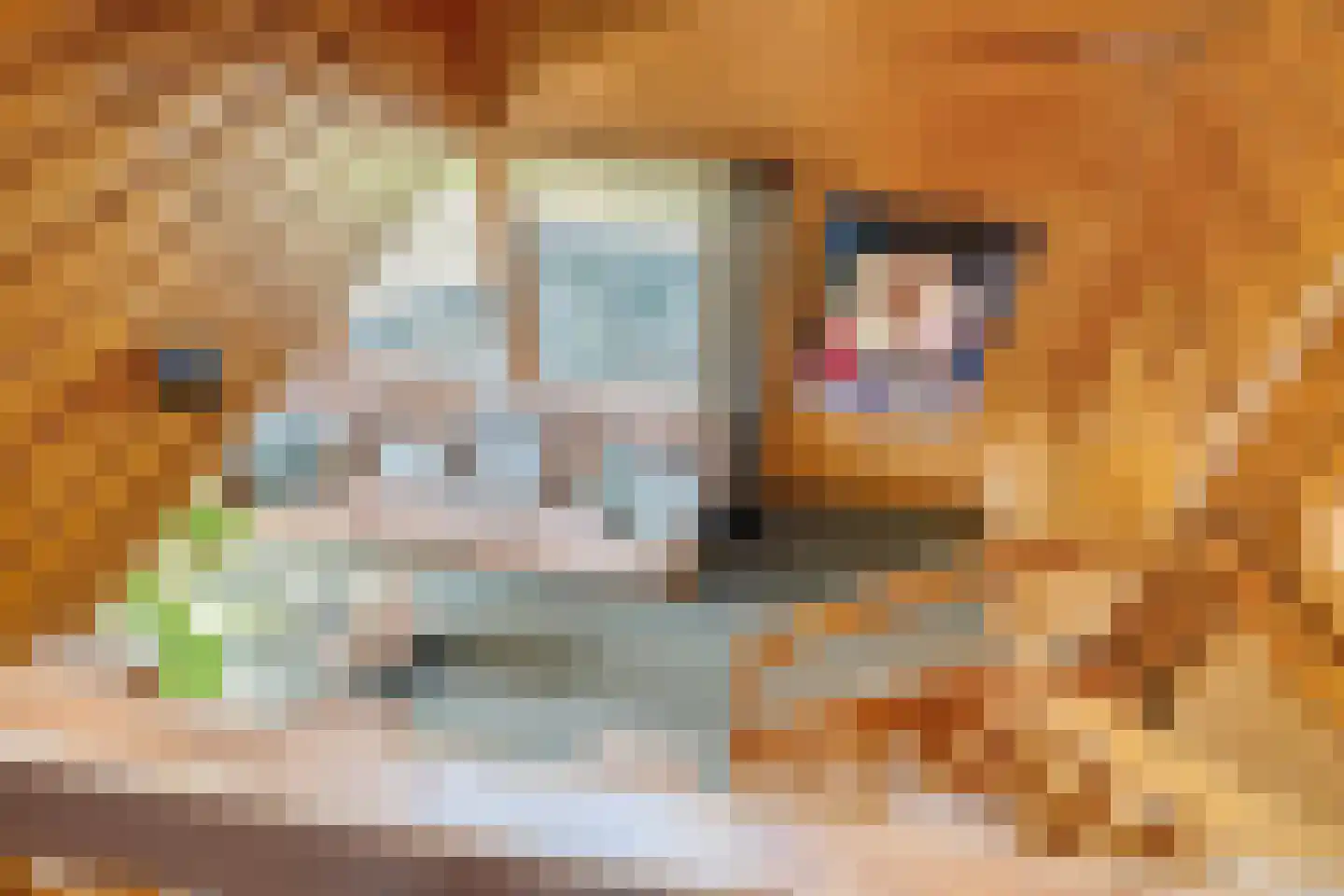 Nieuw Beusinkweg 20 33 Winterswijk thumbnail 35
