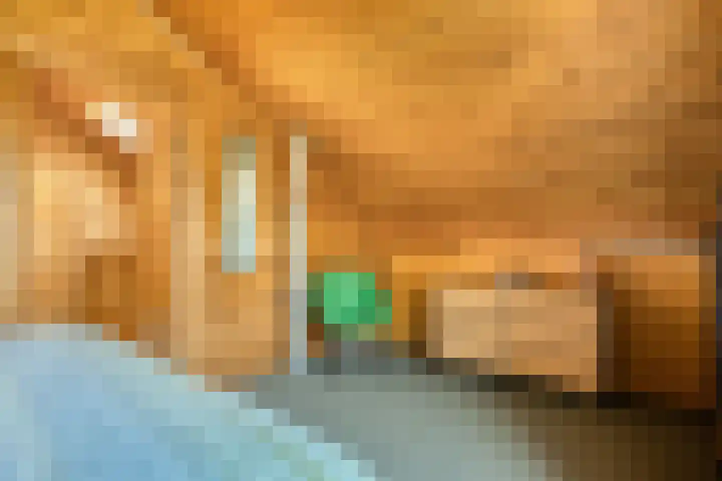 Nieuw Beusinkweg 20 33 Winterswijk thumbnail 39