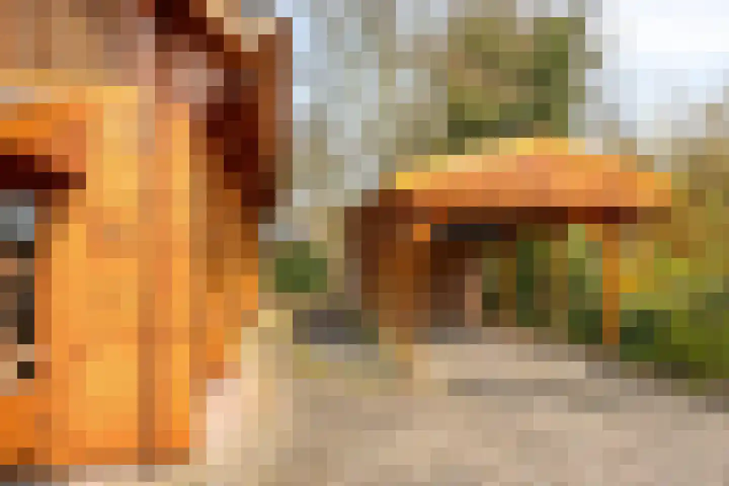 Nieuw Beusinkweg 20 33 Winterswijk thumbnail 4