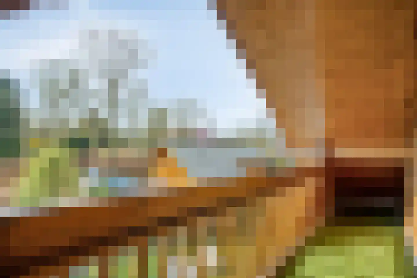 Nieuw Beusinkweg 20 33 Winterswijk thumbnail 42