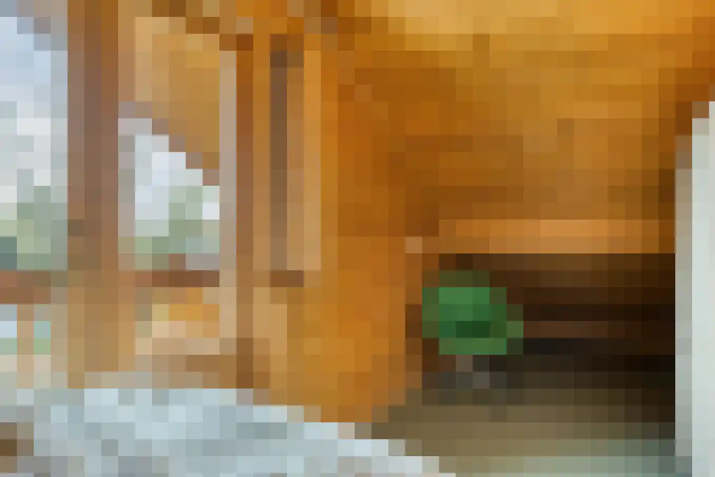 Nieuw Beusinkweg 20 33 Winterswijk thumbnail 44