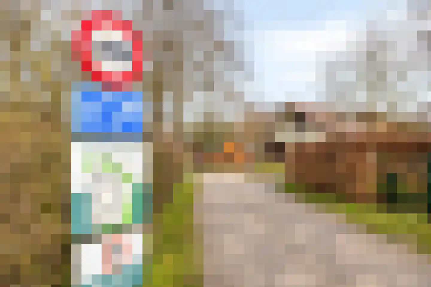 Nieuw Beusinkweg 20 33 Winterswijk thumbnail 45