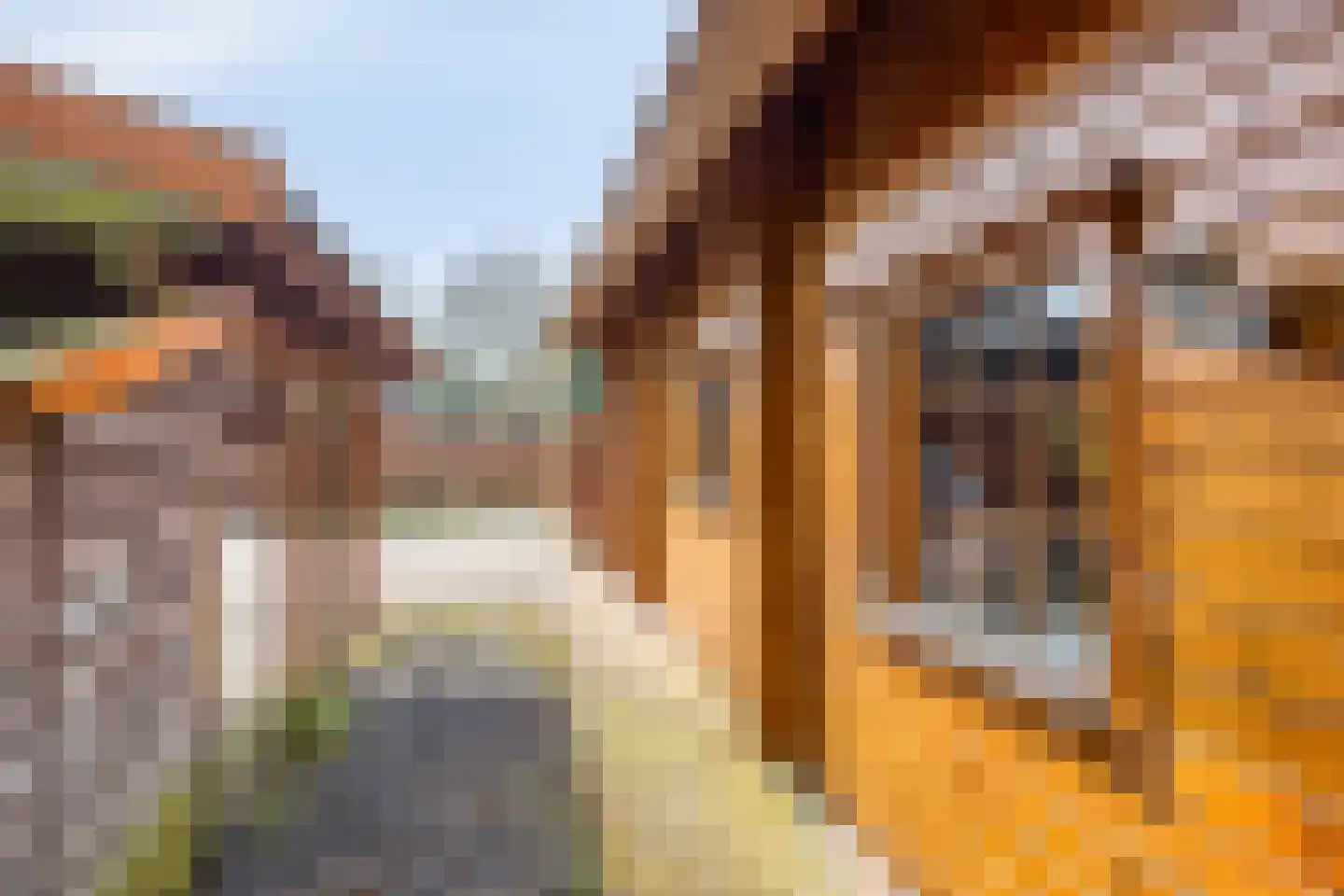 Nieuw Beusinkweg 20 33 Winterswijk thumbnail 5