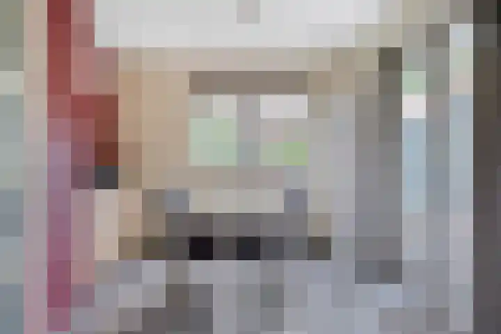 Nieuw Beusinkweg 22 05 Winterswijk thumbnail 10