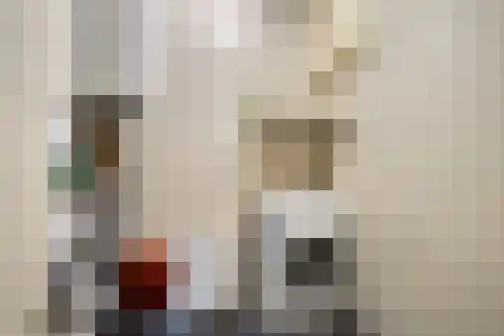 Nieuw Beusinkweg 22 05 Winterswijk thumbnail 13