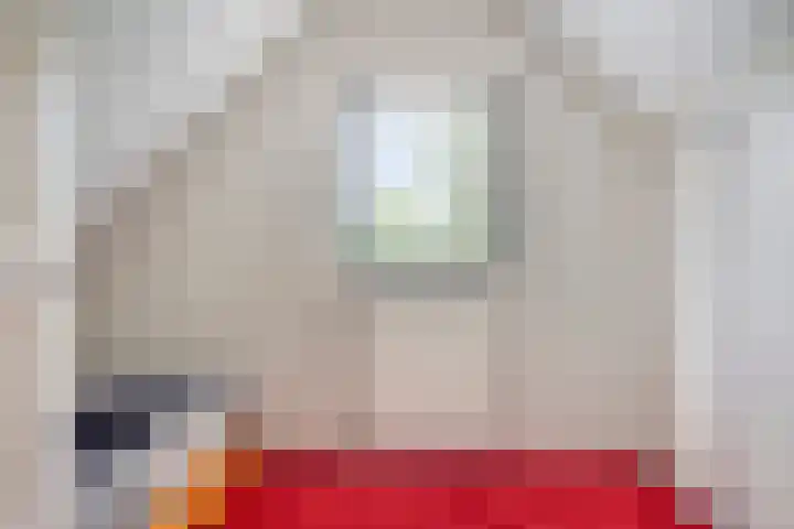 Nieuw Beusinkweg 22 05 Winterswijk thumbnail 17