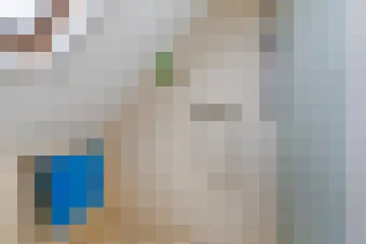 Nieuw Beusinkweg 22 05 Winterswijk thumbnail 18