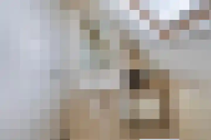 Nieuw Beusinkweg 22 05 Winterswijk thumbnail 19