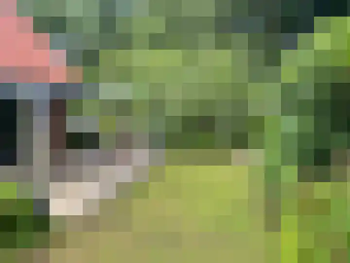 Nieuw Beusinkweg 22 05 Winterswijk thumbnail 20