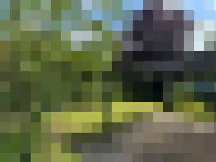 Nieuw Beusinkweg 22 05 Winterswijk thumbnail 22