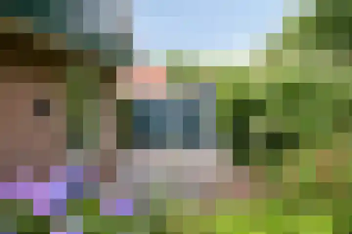 Nieuw Beusinkweg 22 05 Winterswijk thumbnail 24