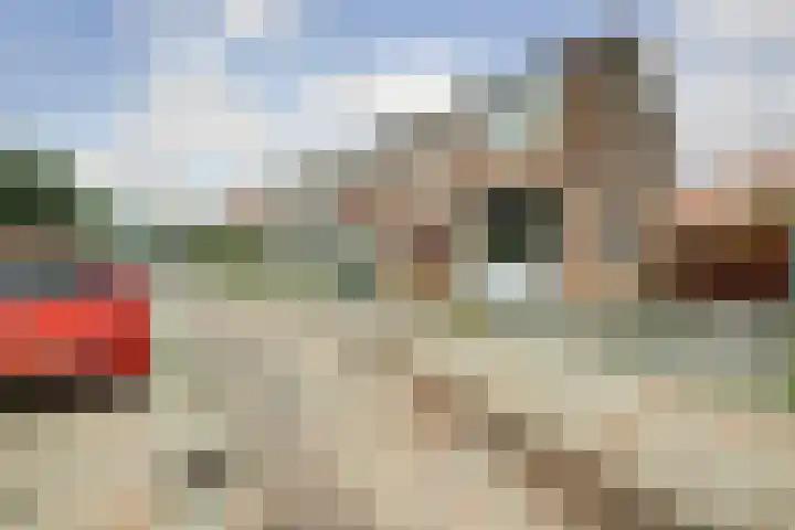 Nieuw Engeland 29 Hoogvliet Rotterdam thumbnail 26