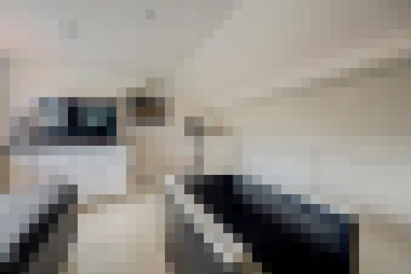 Nieuw Engeland 4 Hoogvliet Rotterdam thumbnail 18