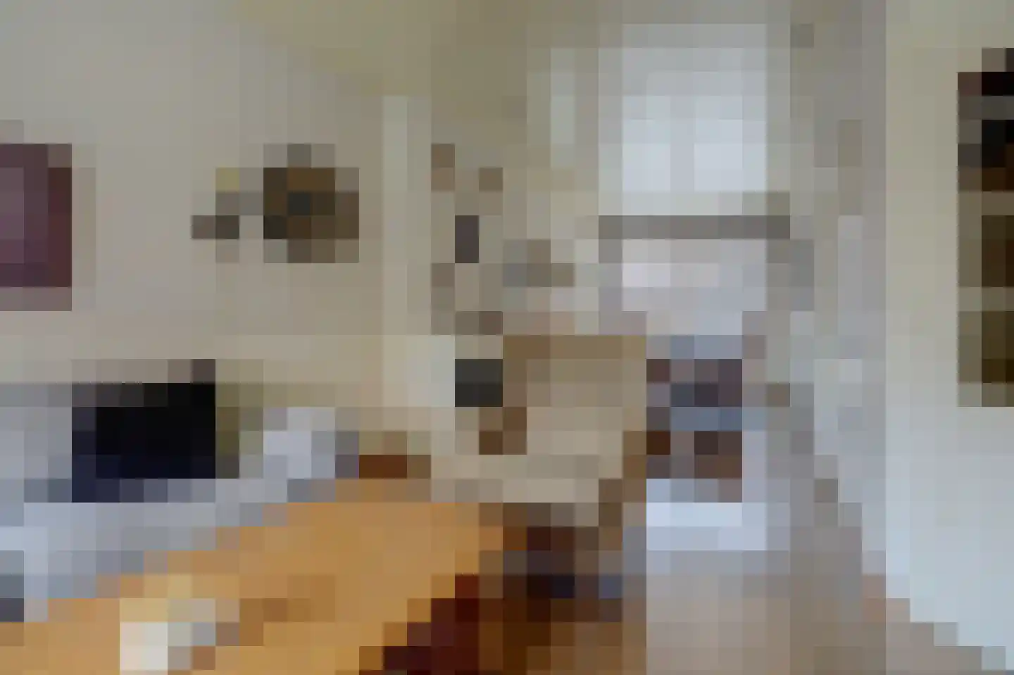 Nieuw Engeland 4 Hoogvliet Rotterdam thumbnail 4