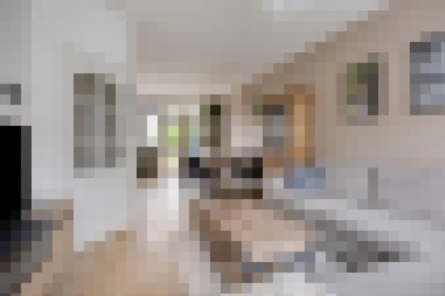 Nieuw Engeland 50 Hoogvliet Rotterdam thumbnail 12