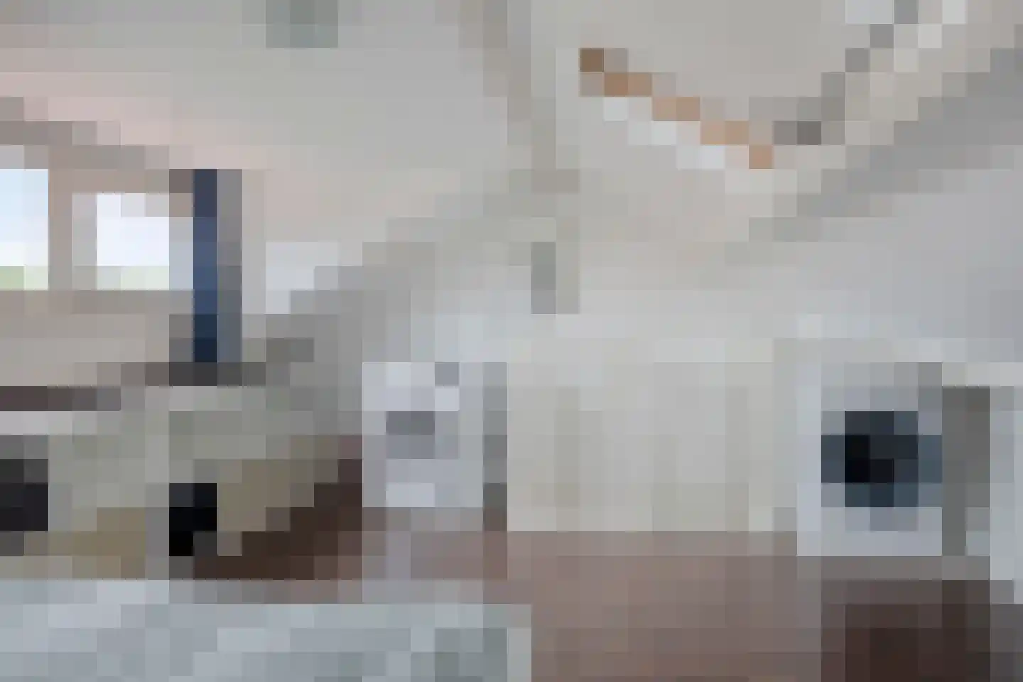 Nieuw Engeland 50 Hoogvliet Rotterdam thumbnail 33