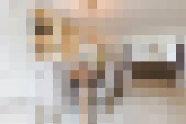 Nieuw Erfseweg 16 Geldrop thumbnail 10