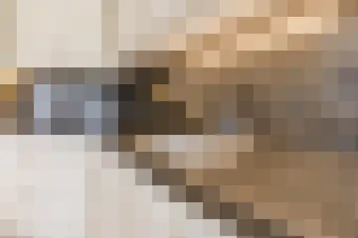 Nieuw Erfseweg 16 Geldrop thumbnail 13