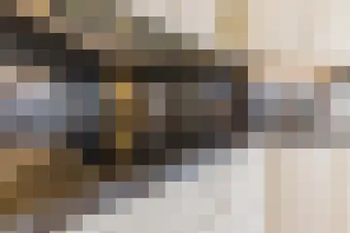 Nieuw Erfseweg 16 Geldrop thumbnail 14