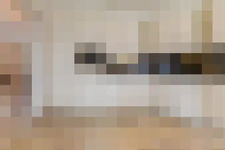 Nieuw Erfseweg 16 Geldrop thumbnail 15