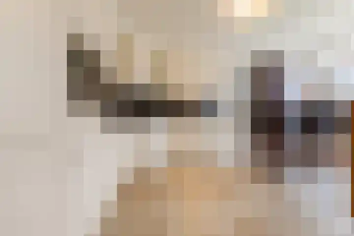 Nieuw Erfseweg 16 Geldrop thumbnail 16