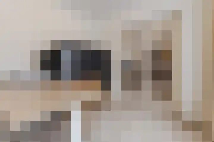 Nieuw Erfseweg 16 Geldrop thumbnail 18