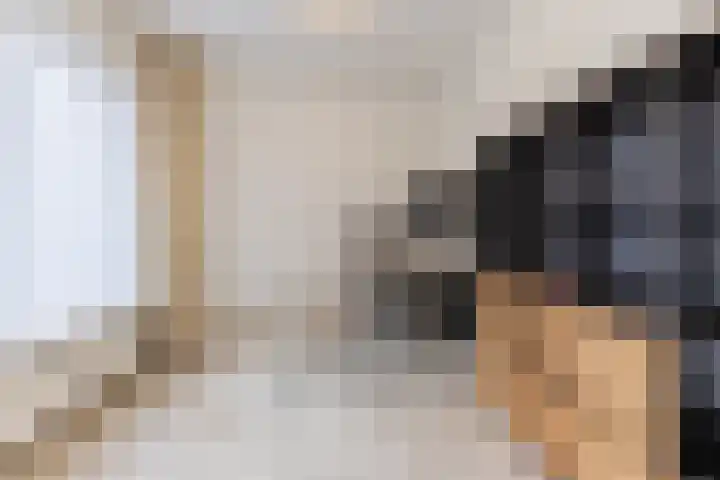 Nieuw Erfseweg 16 Geldrop thumbnail 19