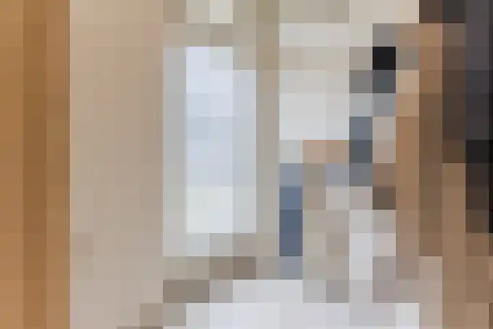 Nieuw Erfseweg 16 Geldrop thumbnail 20