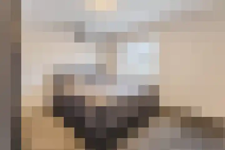 Nieuw Erfseweg 16 Geldrop thumbnail 24