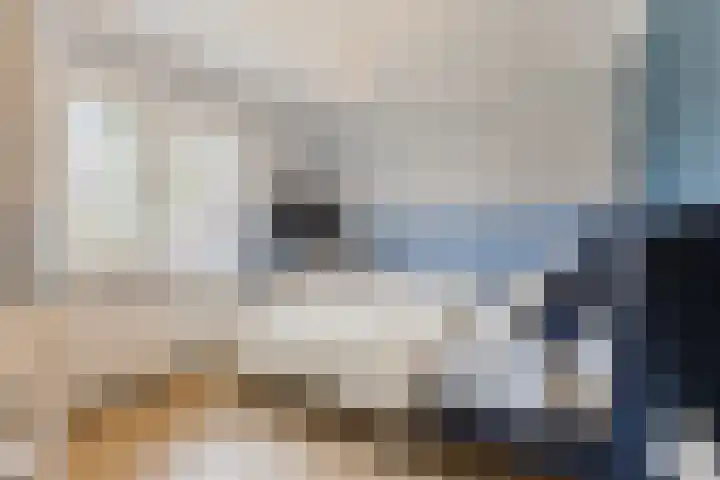 Nieuw Erfseweg 16 Geldrop thumbnail 26