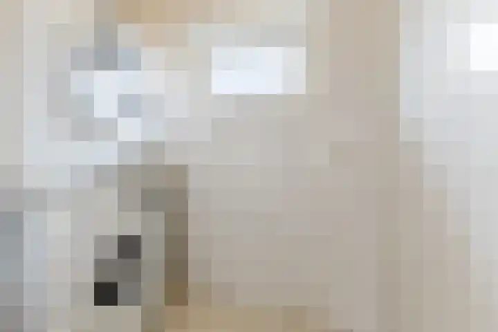 Nieuw Erfseweg 16 Geldrop thumbnail 32