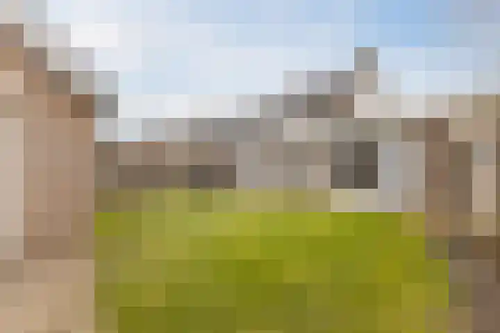 Nieuw Erfseweg 16 Geldrop thumbnail 39