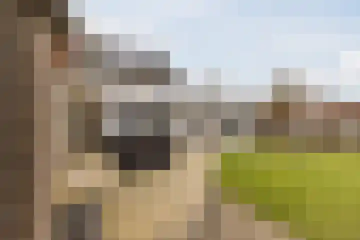 Nieuw Erfseweg 16 Geldrop thumbnail 42