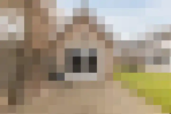Nieuw Erfseweg 16 Geldrop thumbnail 46