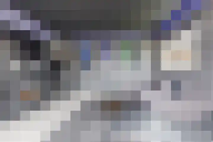 Nieuw Erfseweg 16 Geldrop thumbnail 48