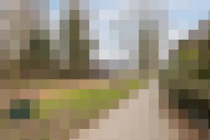 Nieuw Erfseweg 16 Geldrop thumbnail 55