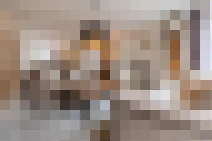 Nieuw Erfseweg 16 Geldrop thumbnail 6
