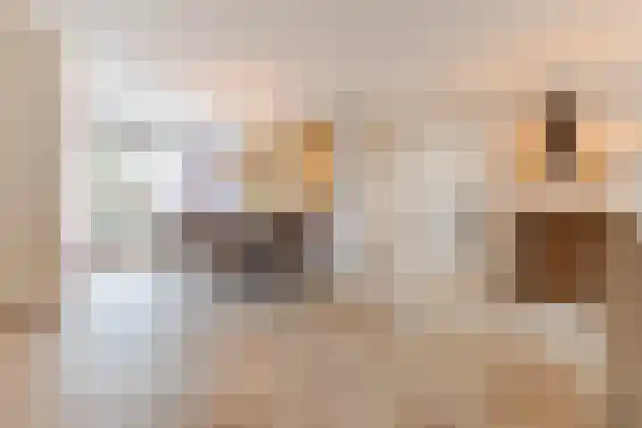 Nieuw Erfseweg 16 Geldrop thumbnail 7