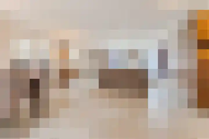 Nieuw Erfseweg 16 Geldrop thumbnail 9