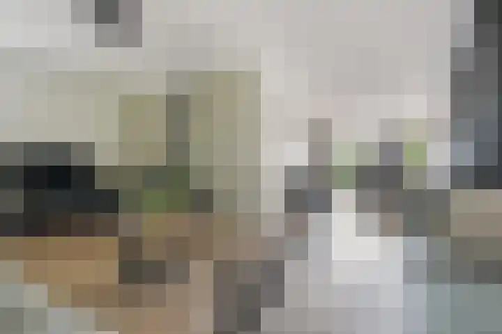Nieuw Erve 1 Grijpskerke thumbnail 10