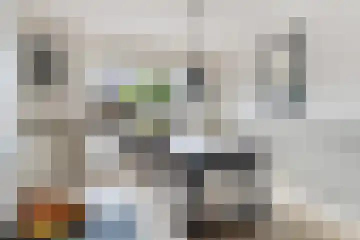 Nieuw Erve 1 Grijpskerke thumbnail 12