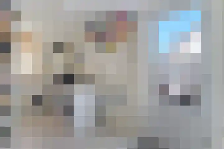 Nieuw Erve 1 Grijpskerke thumbnail 15