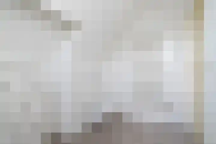 Nieuw Erve 1 Grijpskerke thumbnail 23