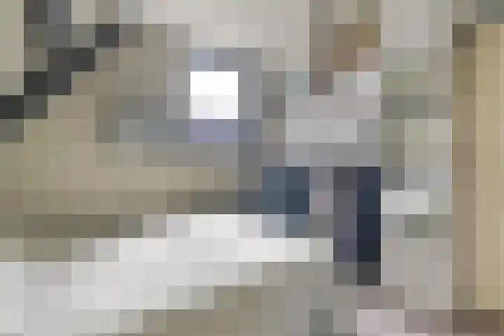 Nieuw Erve 1 Grijpskerke thumbnail 24