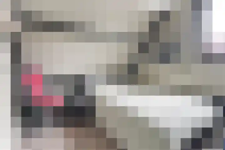 Nieuw Erve 1 Grijpskerke thumbnail 25