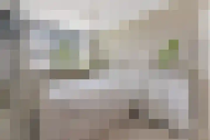 Nieuw Erve 1 Grijpskerke thumbnail 26